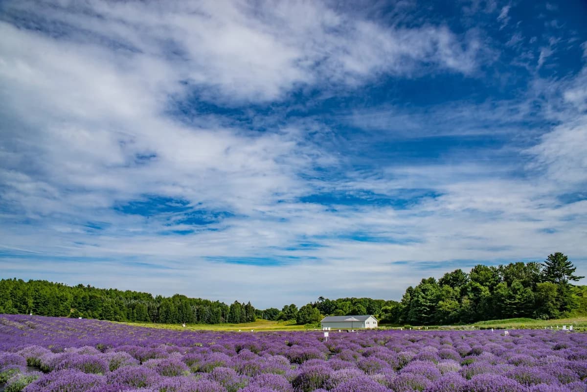Lake Front| Fishing | All Sports | Bass Lake Sanctuary photo 77